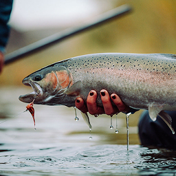 automatic fly fishing reel for sale OCR Bighorn Semi-Automatic Pond Volume_Up to 5000 Liters Speed Spin 100 Spinning Location:Passenger Side Installation This is just plain